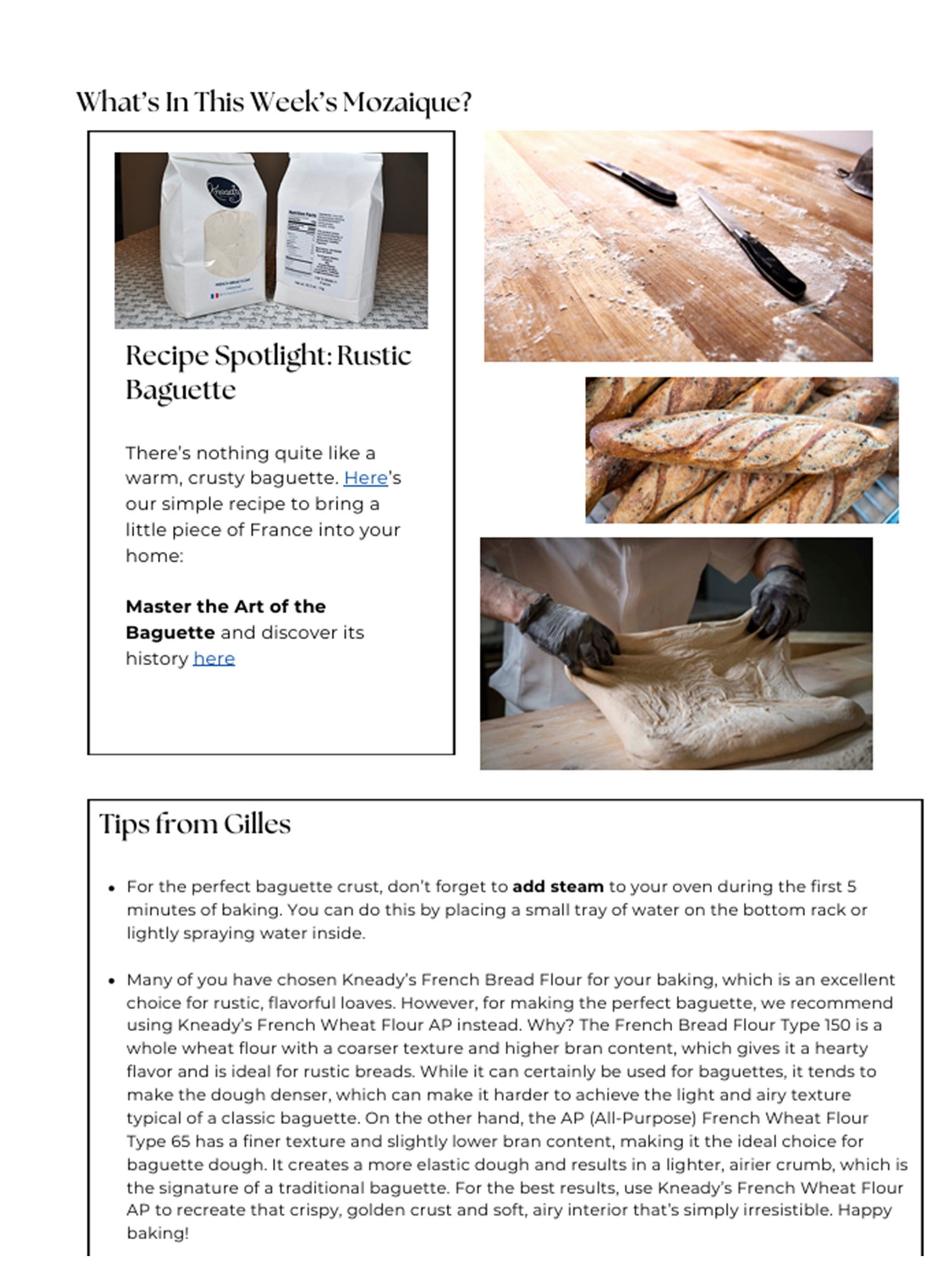 Kneady Family Mozaïque - Issue #1: Community, Recipes, and Resilience!