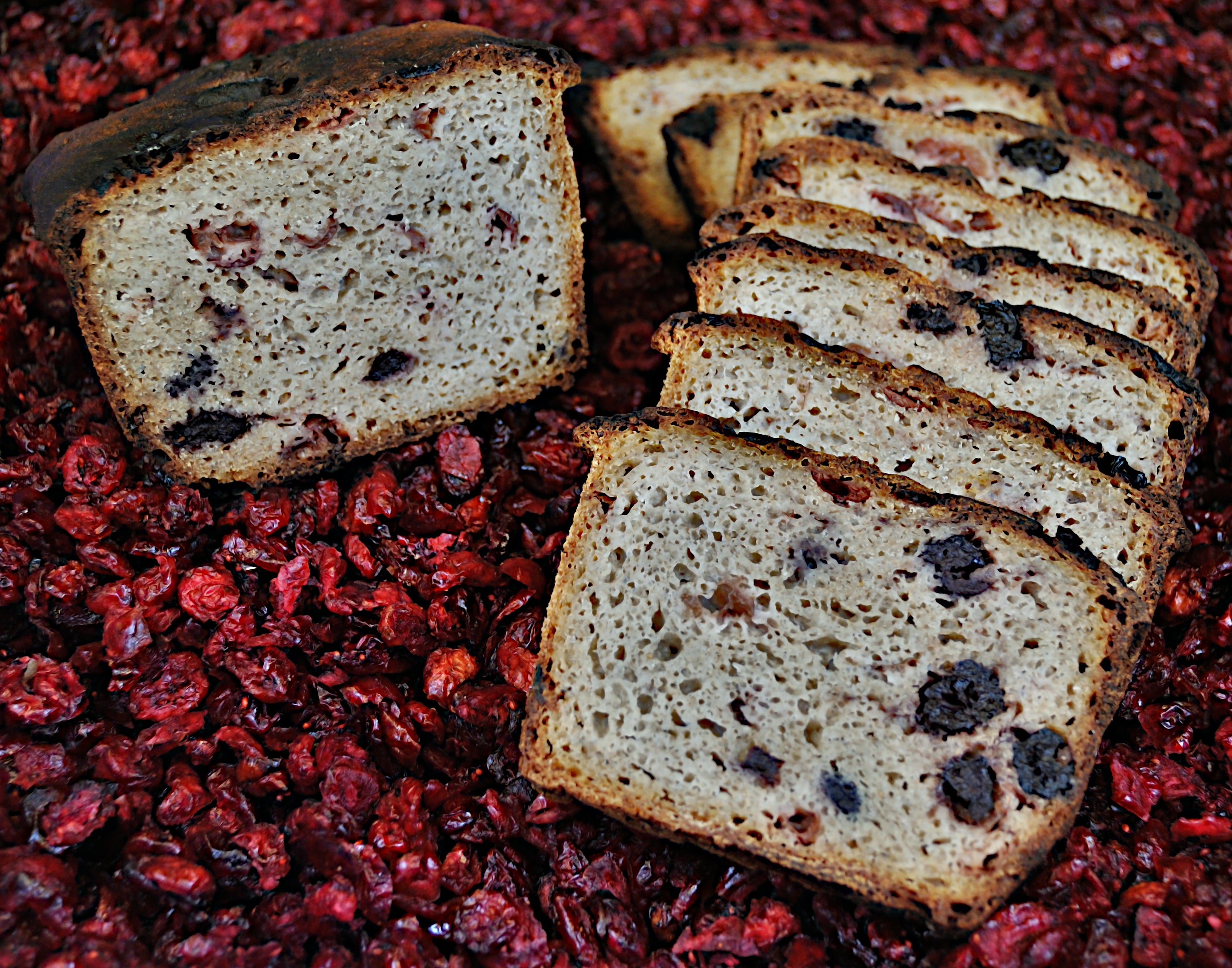 Artisan Buckwheat Loaf with cranberries and blueberries