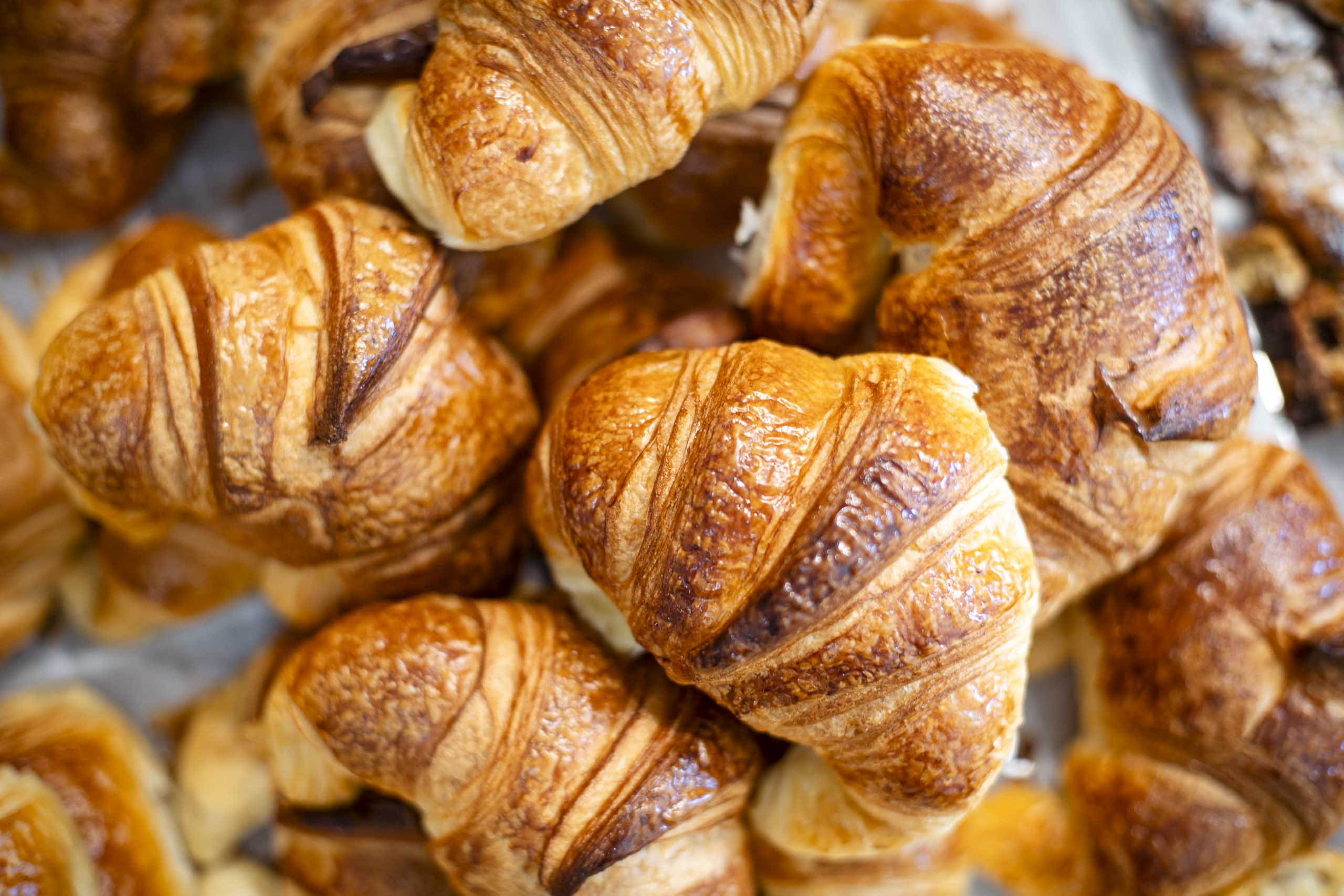 Plain croissants