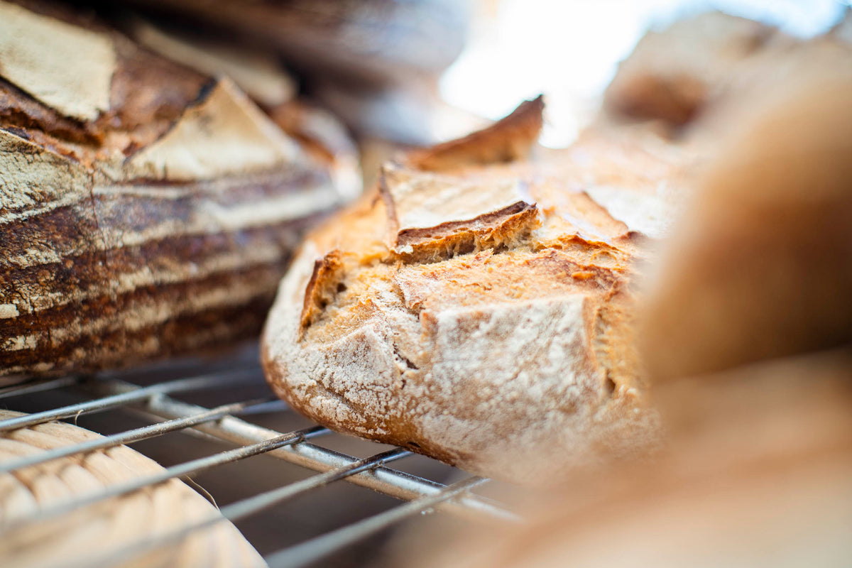 Einkorn Loaf Nutty, Whole Grain Ancient Bread in Los Angeles