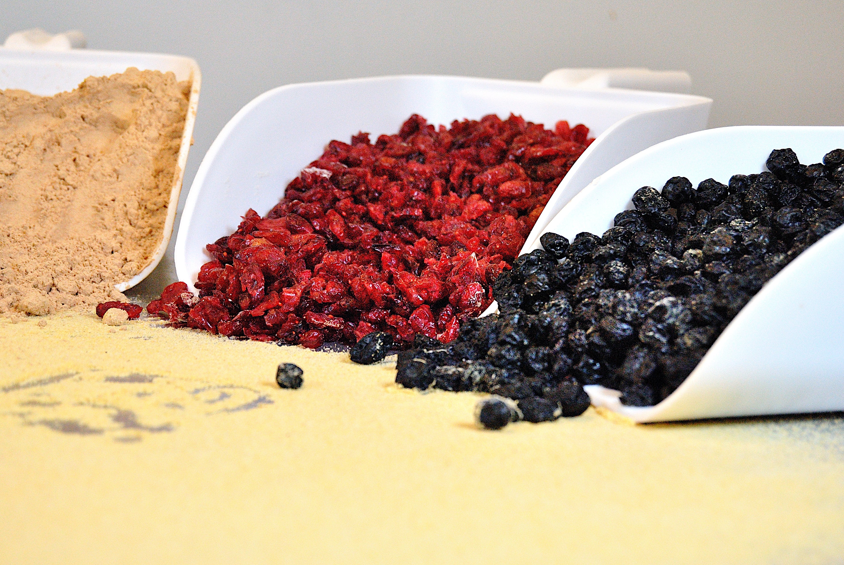 Corn Loaf with cranberries and blueberries