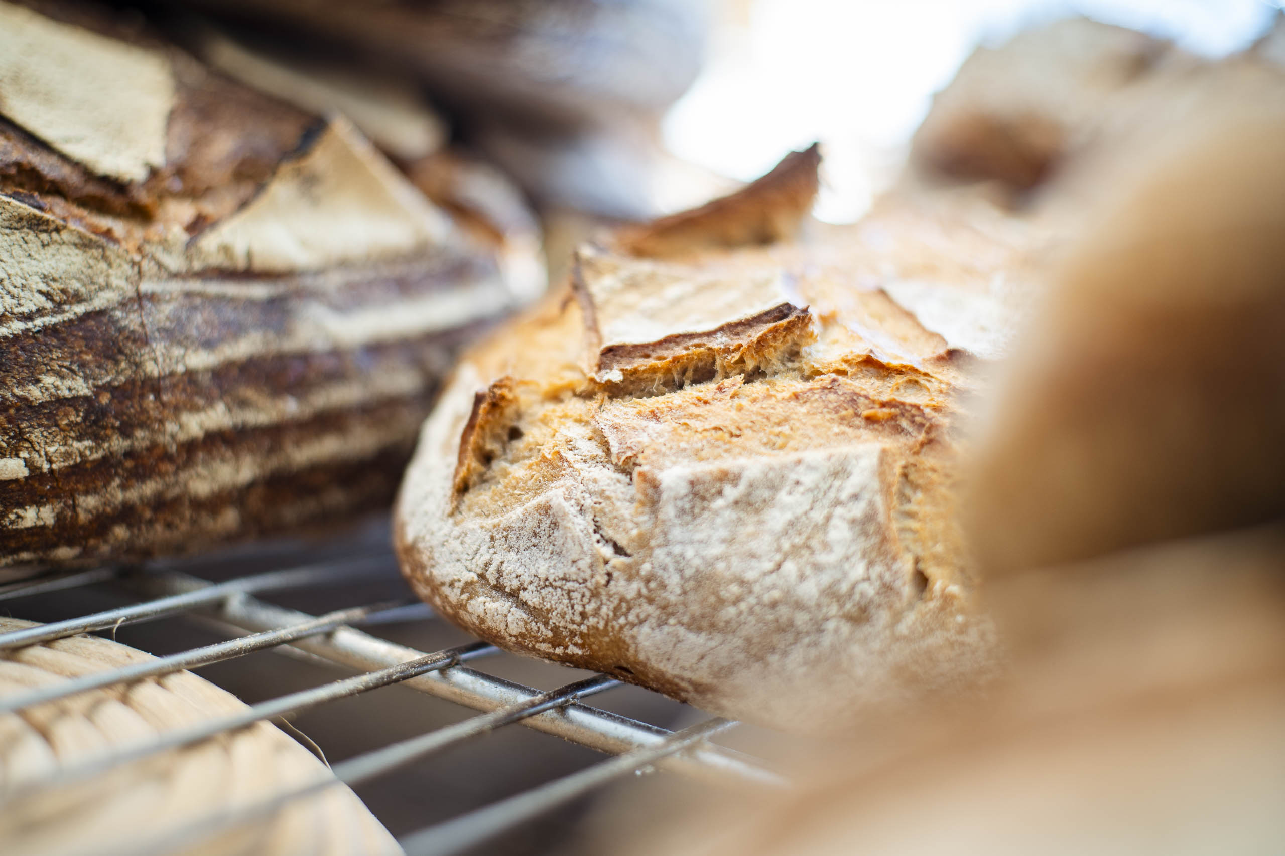 French Bread Flour